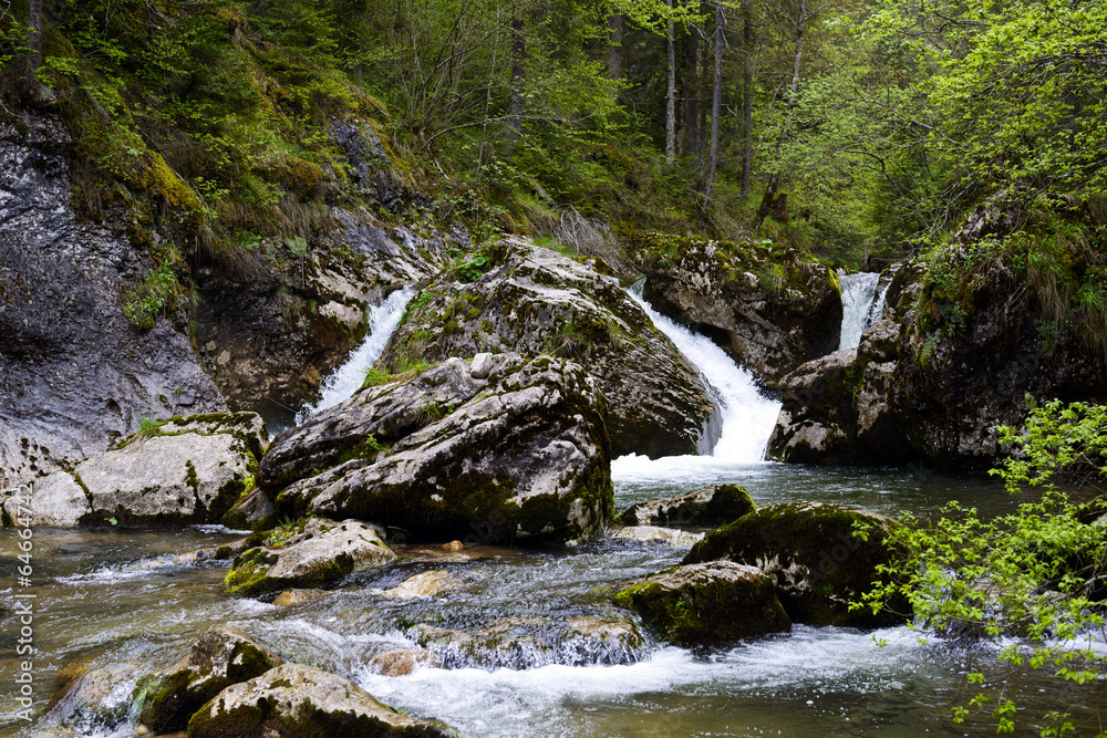 forest waterfall and rocks covered with moss forest waterfall and rocks covered with moss