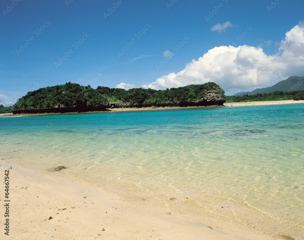 Fototapeta premium 여름 바캉스