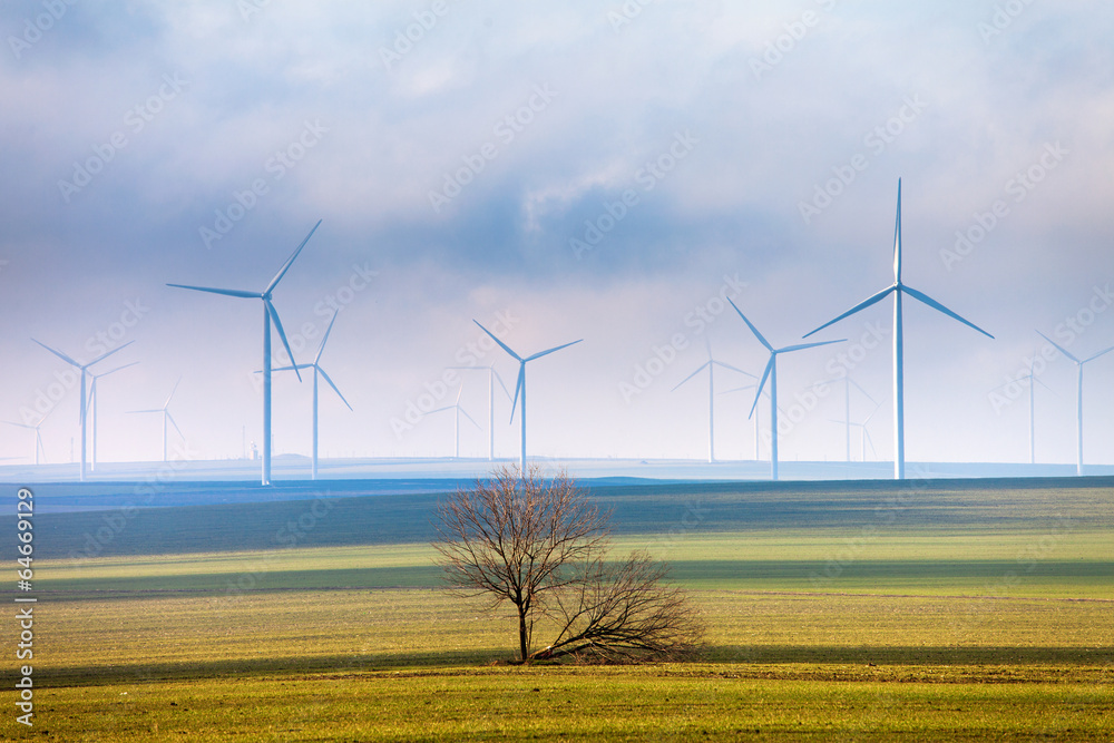 Tree and wind power Tree and wind power