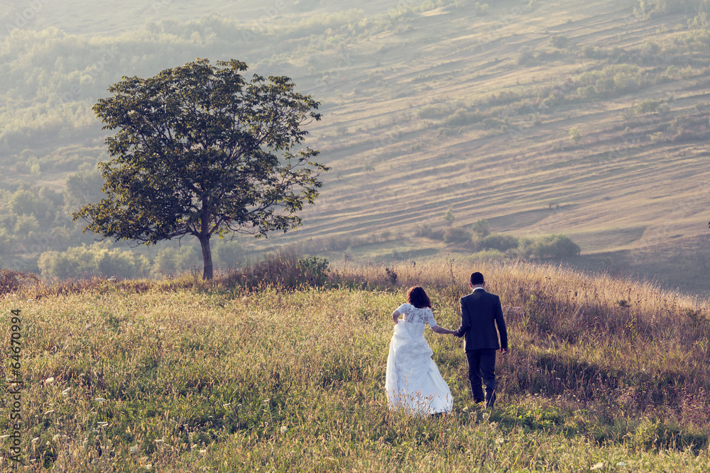 Fototapeta premium Young wedding couple holding near a tree