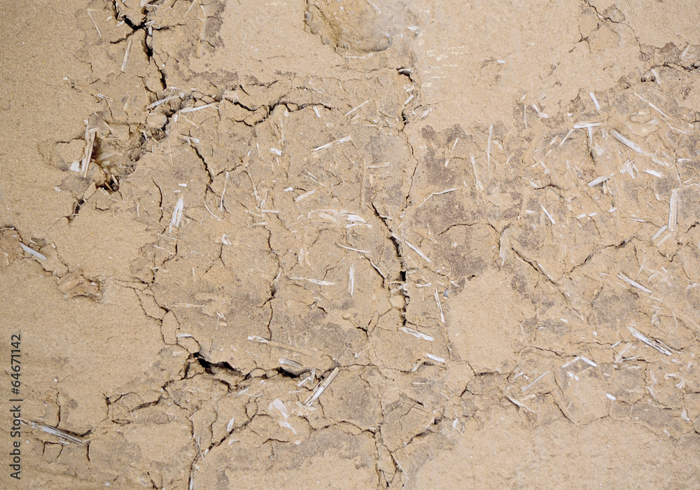 Fototapeta premium 한국 전통문양