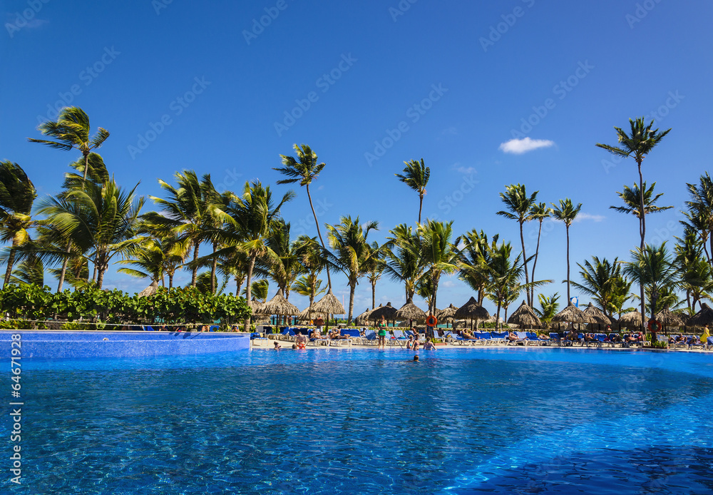 Large beautiful pool near a sandy beach with a tall palm trees