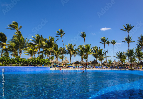 Large beautiful pool near a sandy beach with a tall palm trees