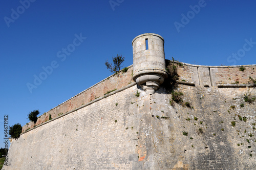 fort de la prée photo