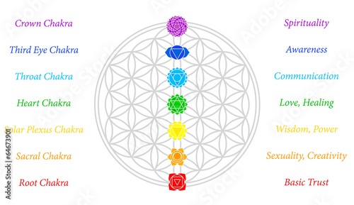 Flower of Life Chakras Description White
