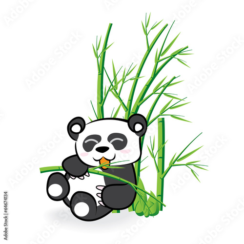 Panda 02