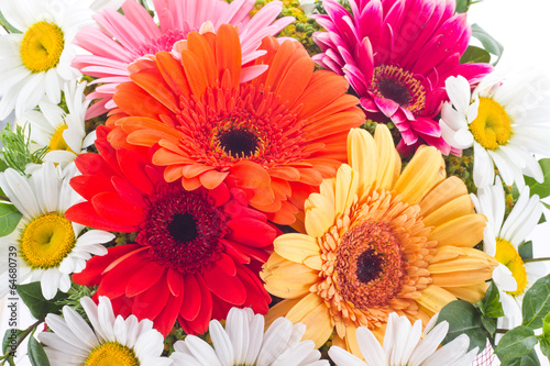 Gerbera and camomile flowers in bouquet