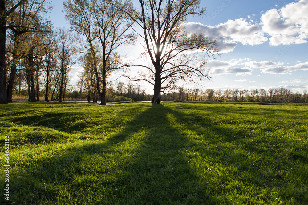 Sunny landscape of ural meadow Sunny landscape of ural meadow
