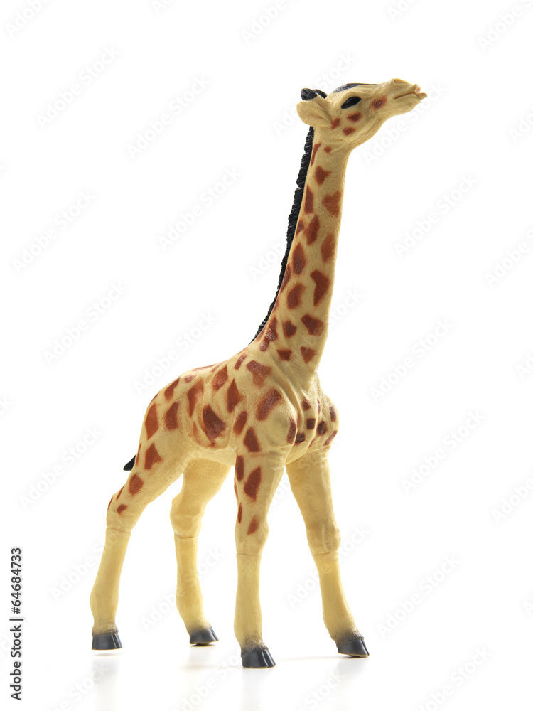 Giraffa