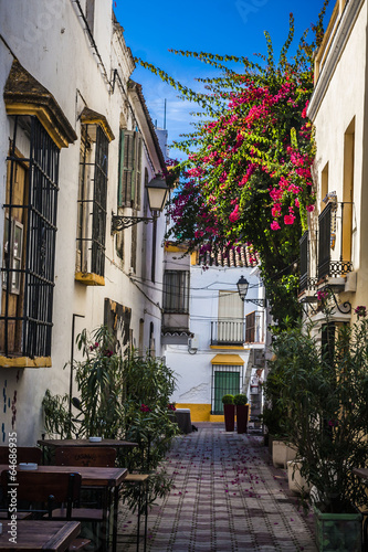 Fototapeta Naklejka Na Ścianę i Meble -  beautiful old city Marbella in Spain