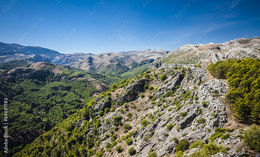 Fototapeta premium beautiful view in Spain near Ronda