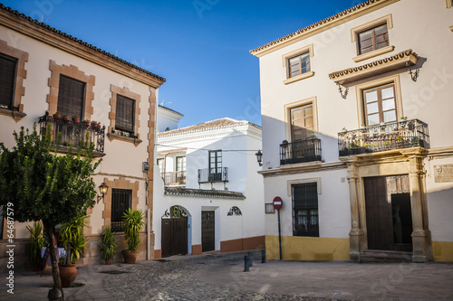 Fototapeta Naklejka Na Ścianę i Meble -  The village of Ronda in Andalusia, Spain.