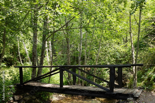 Wooden Bridge In The Wood  Serbia