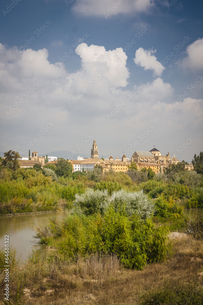 Guadalquivir River with the Mosque-Cathedral as background.