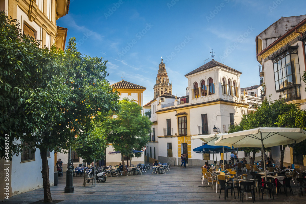 Naklejka premium Typical cobbled mediterranean street of white houses in Cordoba