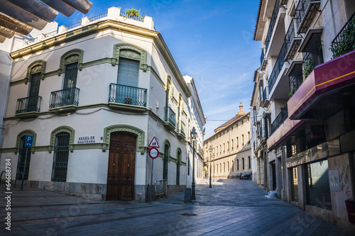 Typical cobbled mediterranean street of white houses in Cordoba