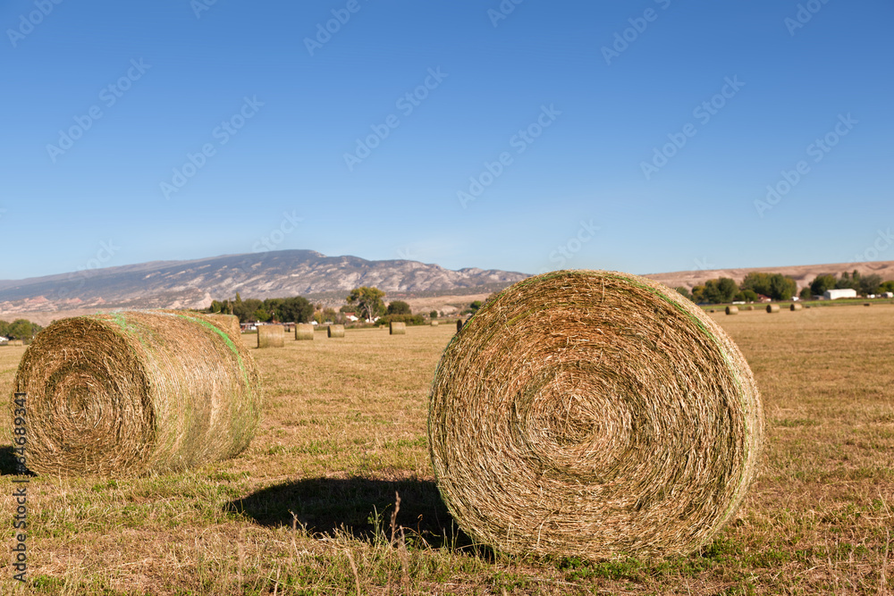 round golden hay bale on farmland