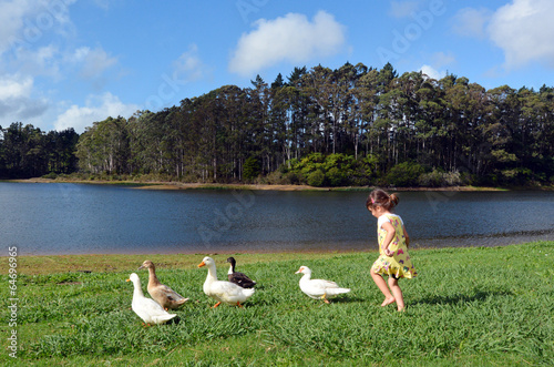 Little girl chasing wild duck