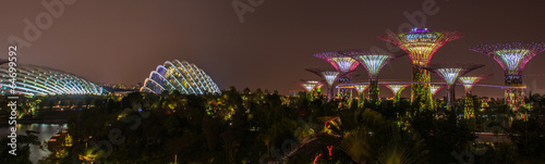 Photography Gardens by the Bay - SuperTree Grove in Singapore