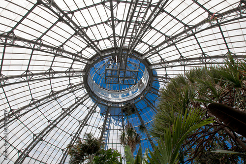 Photography Plants in a greenhouse, Allan Gardens, Toronto, Ontario, Canada