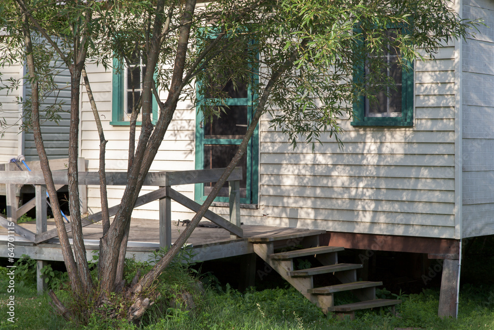 Tree in front of a log cabin, Tobermory, Ontario, Canada Tree in front of a log cabin, Tobermory, Ontario, Canada