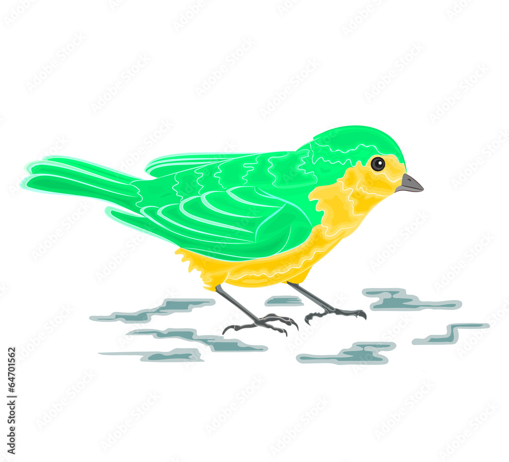 Golden-green bird