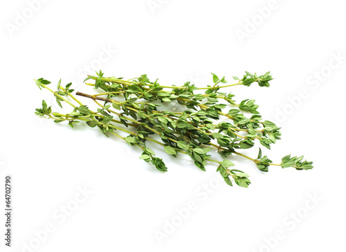 Food ingredient - fresh thyme