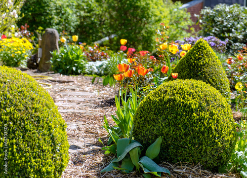 Frühling im Garten photo