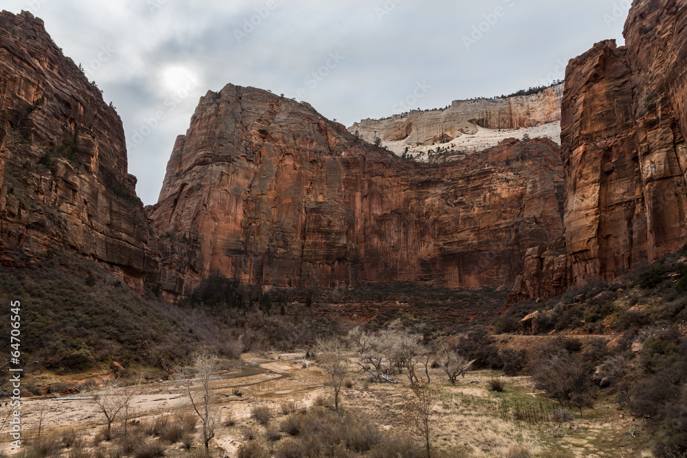 Fototapeta premium Zion Nationalpark