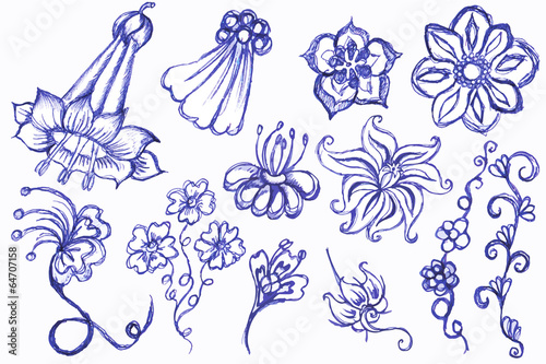 Drawing of flowers a blue pen. Set3 photo