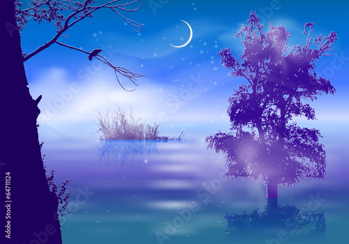 Night landscape with fog and trees submerged in water