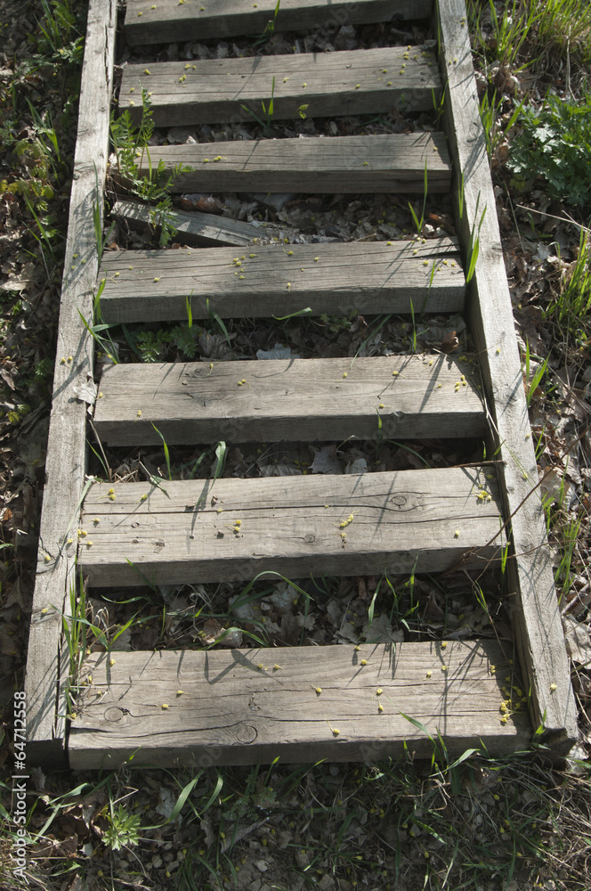 Old wooden ladder Old wooden ladder