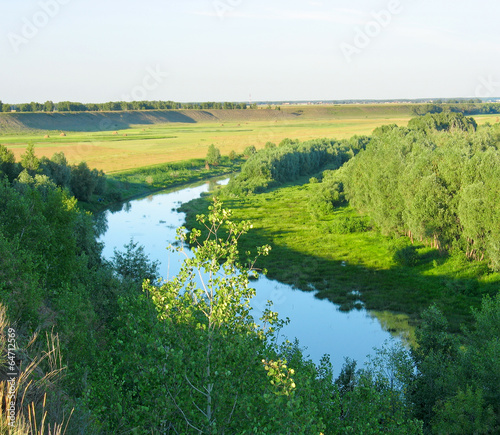 Summer landscape. Small river