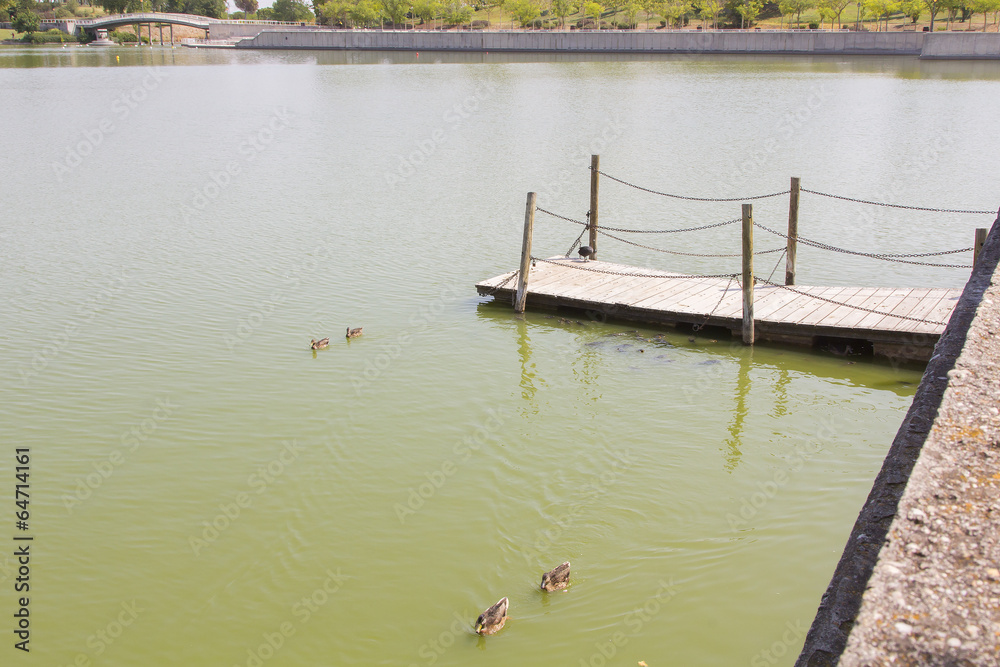 Fototapeta premium small wooden pier