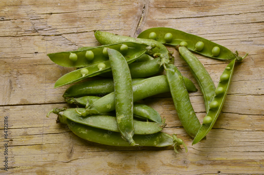 Pisum sativum Pois Erbse Grašak Erwt Горох посевной Pisum sativum Pois Erbse Grašak Erwt Горох посевной