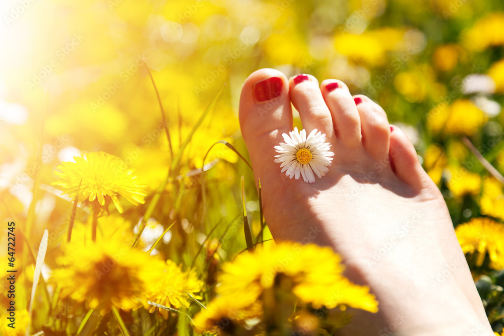 Foot of a young woman with a spring flower in fingers on meadow Foot of a young woman with a spring flower in fingers on meadow