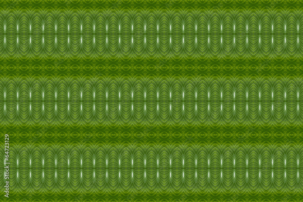 Fototapeta premium Concept art from leaves.