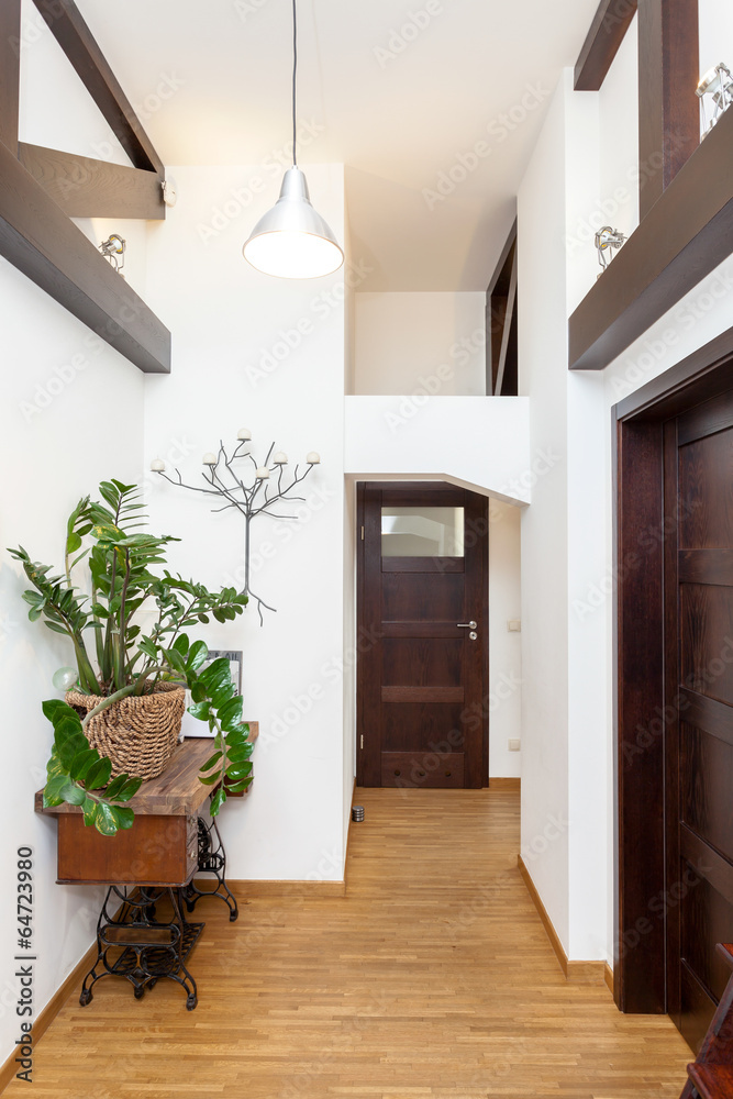 Hall in a story-house Hall in a story-house