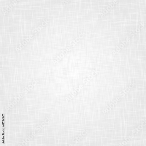 white and light gray texture or background