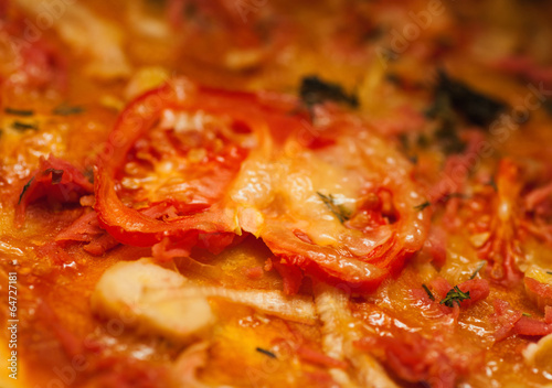 closeup piece of tomato pizza