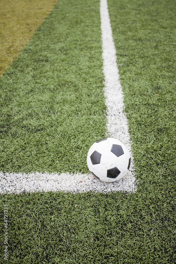 Fototapeta premium soccer ball on green grass