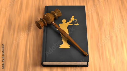 Gavel on a law book