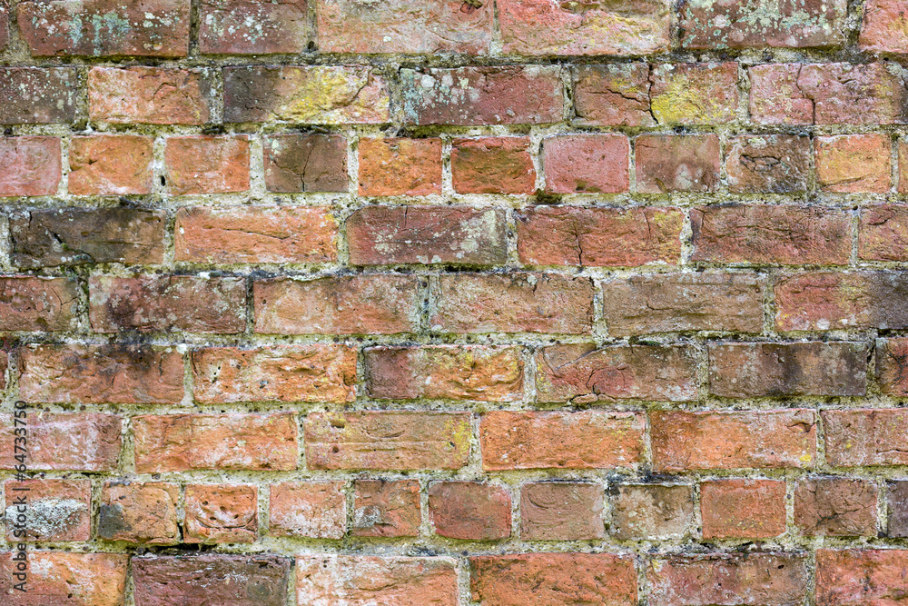 Obraz premium Brick Wall