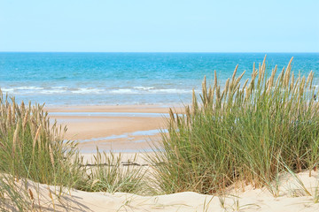 Keuken achterwand Duingras Zandstrand van Formby in Engeland  © MartiniDry
