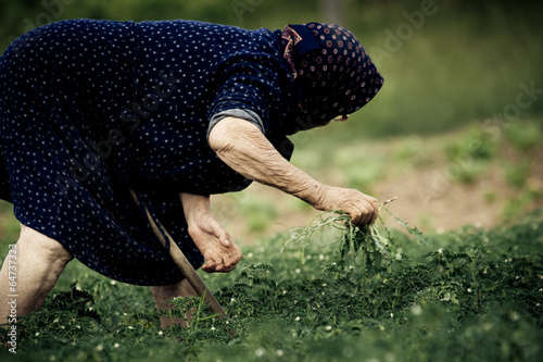 Old Woman farming in Greece