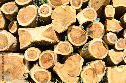 Piling of Lumber Wood