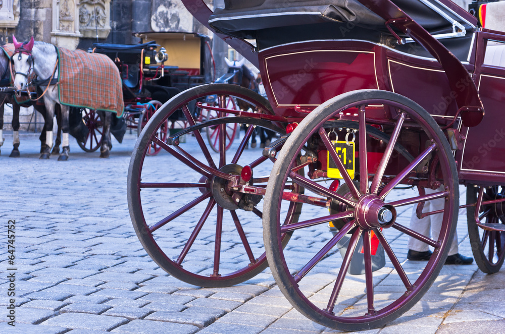 Horse carriage in front of saint Stephen's cathedral at Vienna