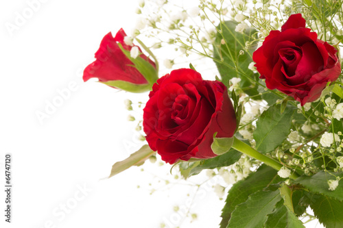 rote Rosen mit Schleierkraut