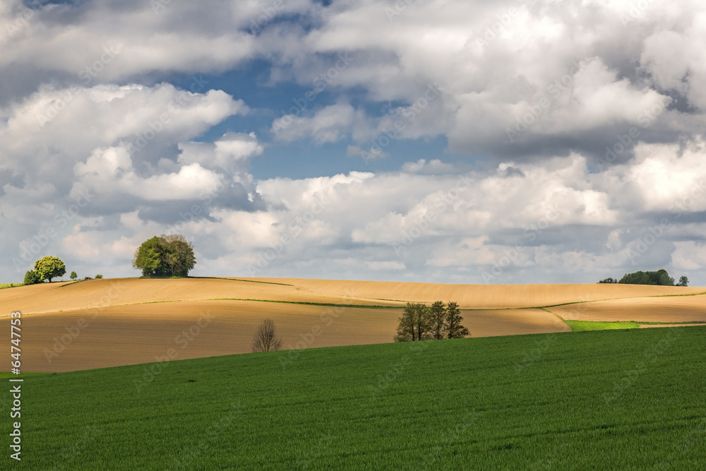 Fototapeta premium Frühlingslandschaft in Bayern