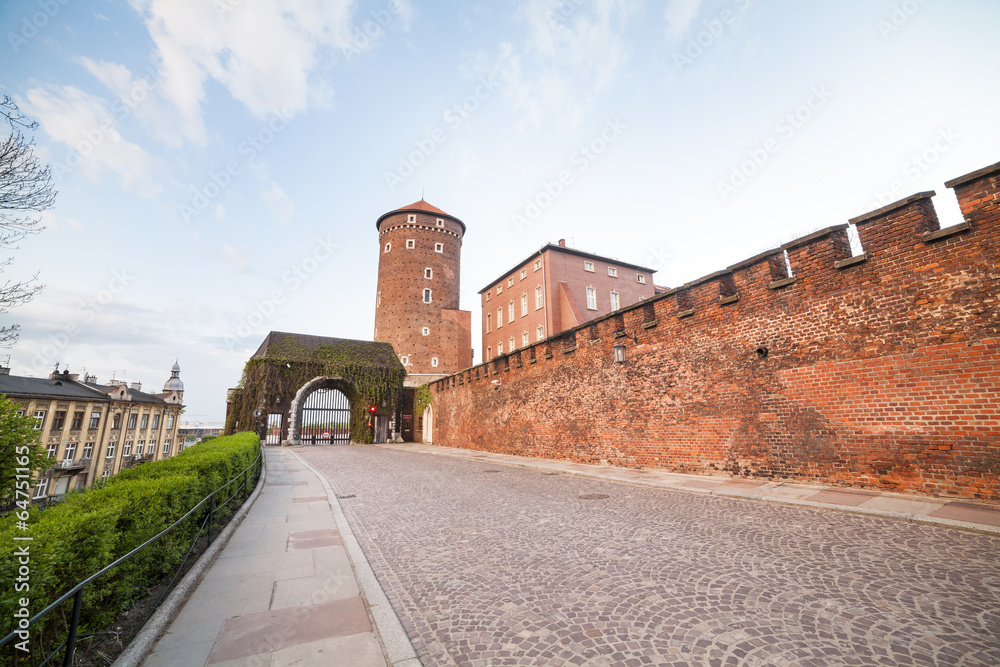Wawel Castle, Krakow, Poland, Europe